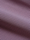 Lyndon Polo