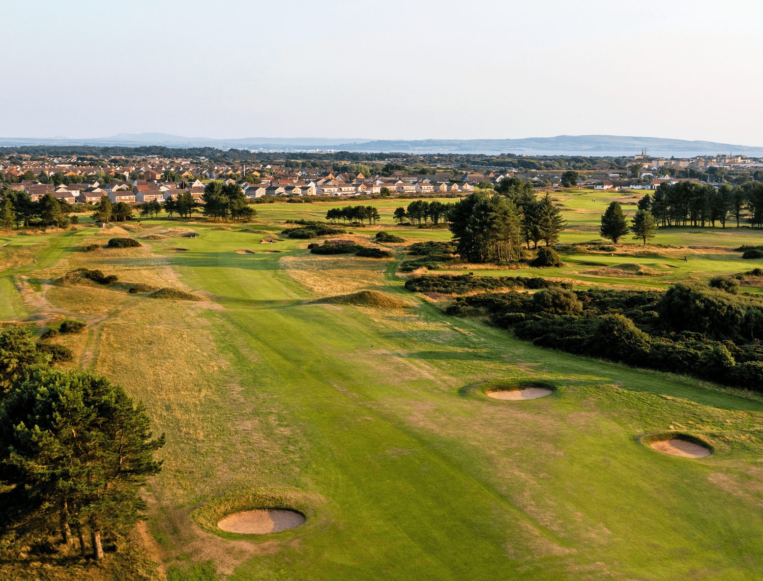 Fescue & Dunes