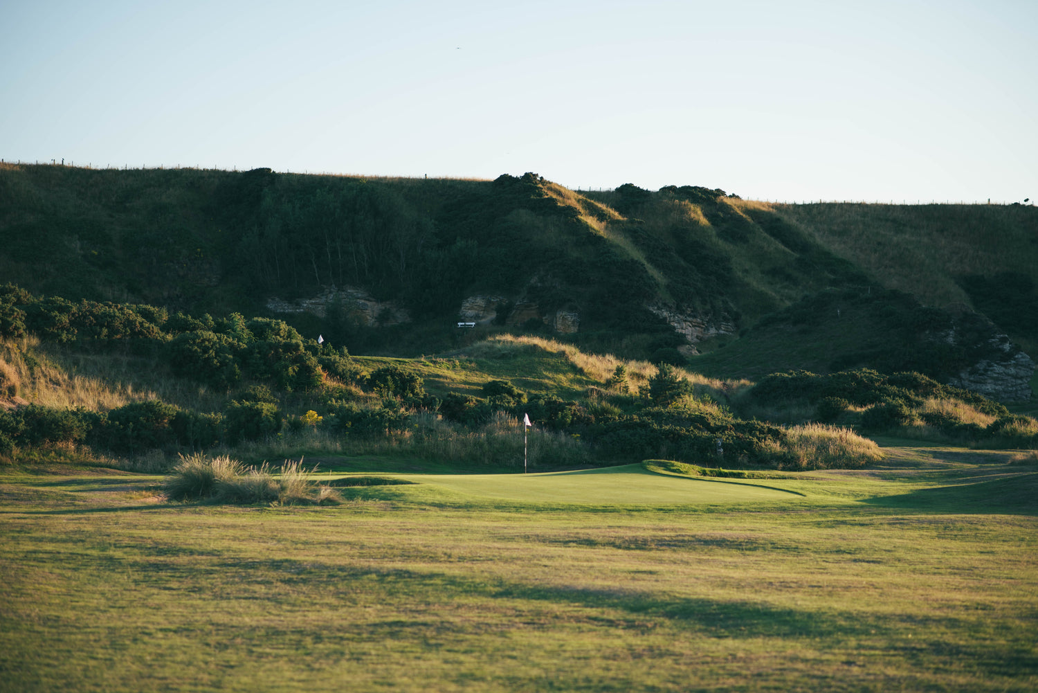 Fescue & Dunes