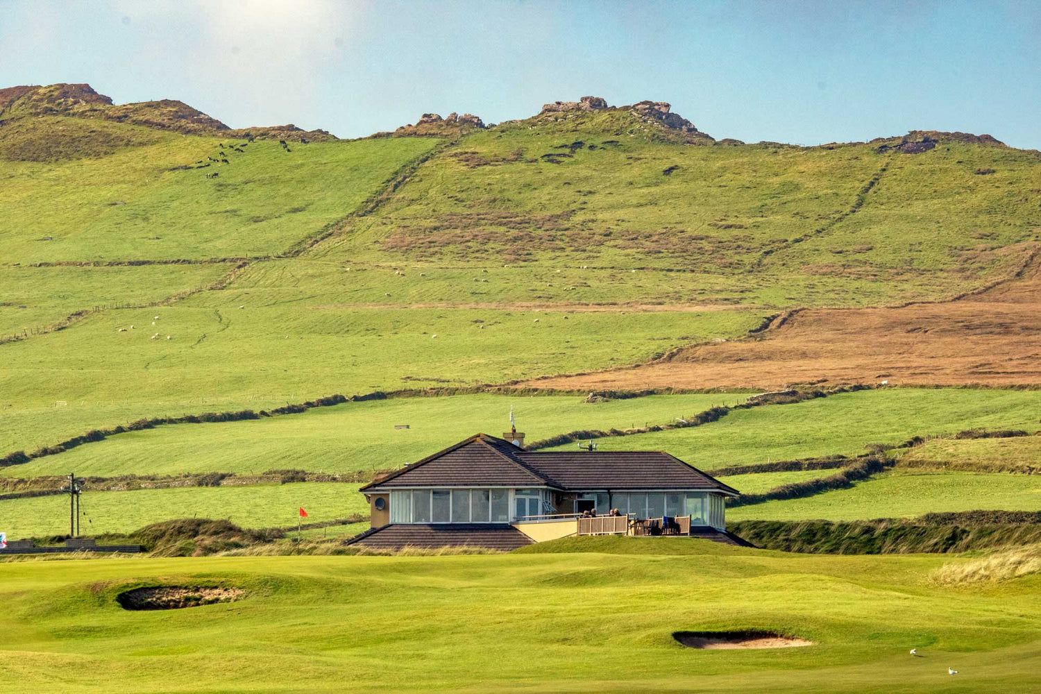 Fescue & Dunes