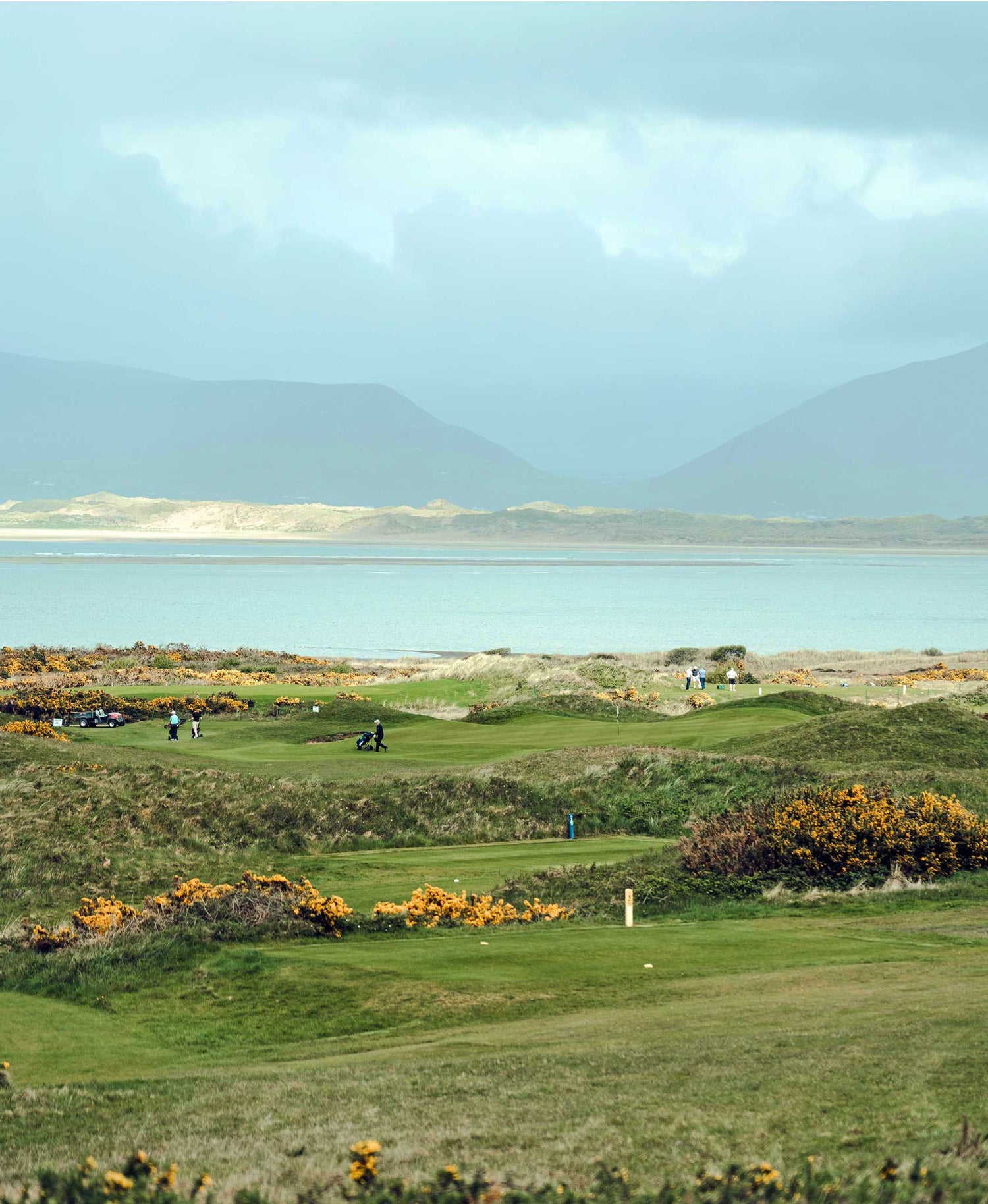 Fescue & Dunes
