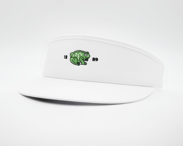 3161 Tour Visor - Dooks