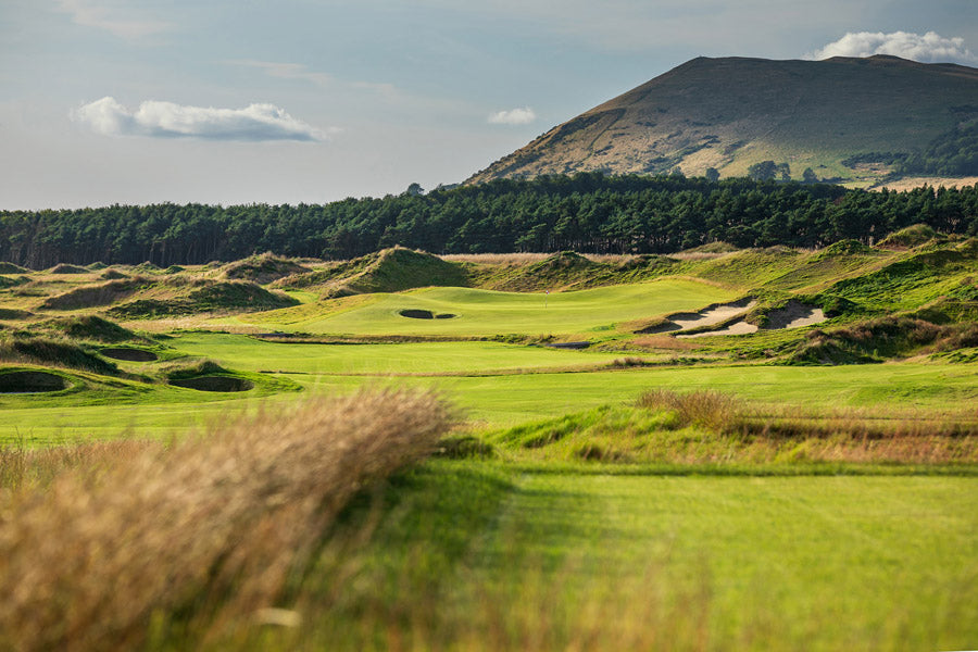 Fescue & Dunes
