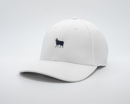 2105 Applejack Performance Cap - Machrihanish Dunes