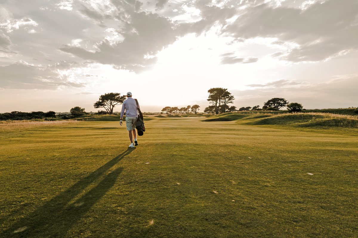 Fescue & Dunes